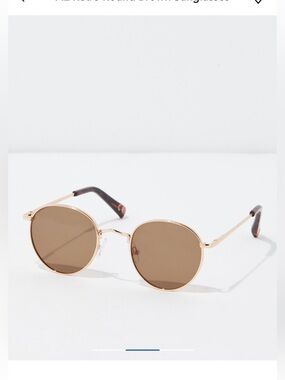 American Eagle Retro Round Metal Frame Sunglasses in Brown Lenses